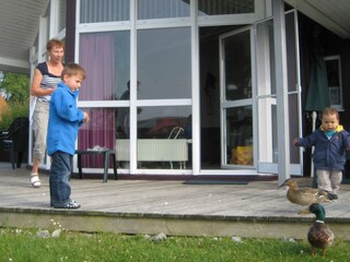 Holiday house Otterndorf Outdoor Recording 3