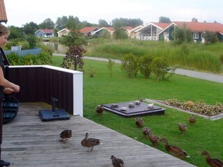 Casa de vacaciones Otterndorf  15