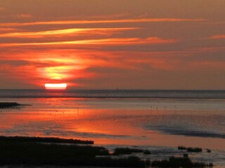 Casa per le vacanze Otterndorf  26