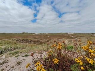 Ferienhaus Hvide Sande  40