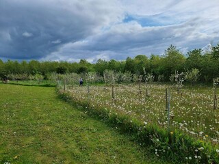 Vakantiehuis Aabenraa  23