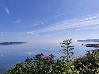 Vakantiehuis Aabenraa  38