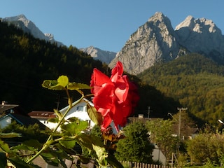 Blick vom Balkon Fewo Waxensteinblikck