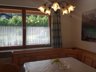 Blick in den Garten