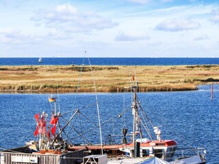 Apartamento Wendtorf  55