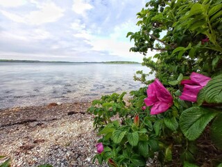 Holiday house Sønderballe  32