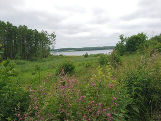 Vakantiehuis Sønderballe  32