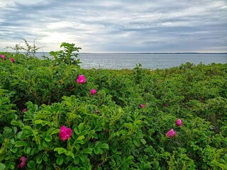 Casa per le vacanze Sønderballe  33