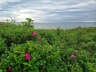 Maison de vacances Sønderballe  33