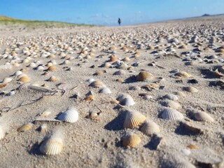 Appartement Havneby  39