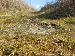 Casa de vacaciones Sydals  32