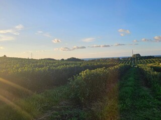 Casa per le vacanze Rørvig  27