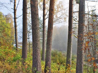 Casa de vacaciones Jössefors  12