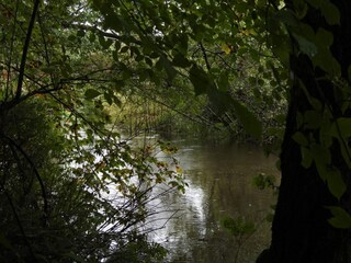 Vakantiehuis Aalbæk  15