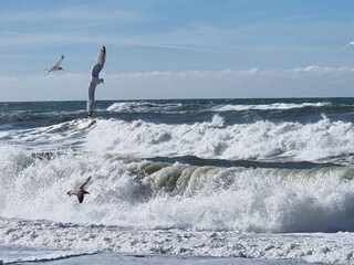 Ferienhaus Harboøre  25
