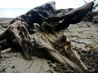 Ferienhaus Hejlsminde  29