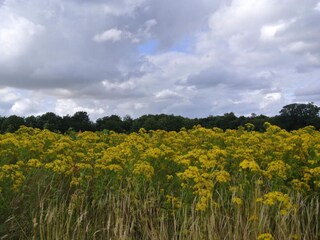 Maison de vacances Hejlsminde  17