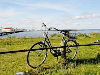 Ferienhaus Wackerballig  19