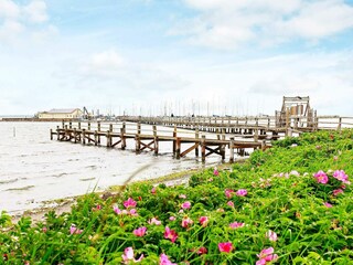 Vakantiehuis Wackerballig  22