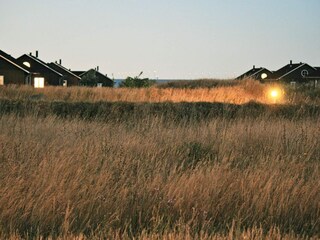 Ferienhaus Nysted  15