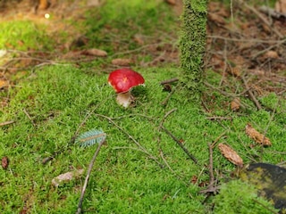 Ferienhaus Aalbæk  12