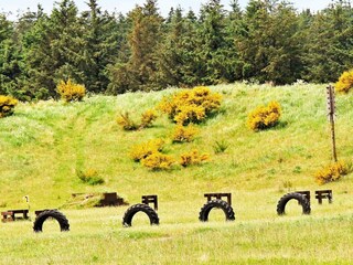 Casa de vacaciones Tranum Strand  30