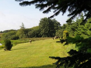 Holiday house Tranum Strand  9