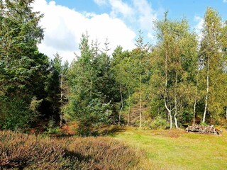 Vakantiehuis Dueodde  21