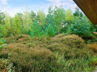 Maison de vacances Dueodde  7