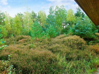 Casa de vacaciones Dueodde  8