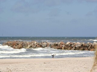 Casa per le vacanze Thorsminde  38