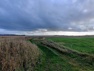 Maison de vacances Ferring  15