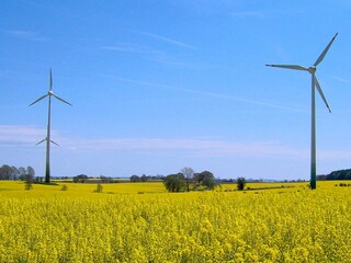 Casa de vacaciones Grömitz  30