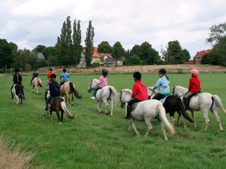Casa de vacaciones Grömitz  34