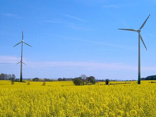 Ferienhaus Grömitz  38