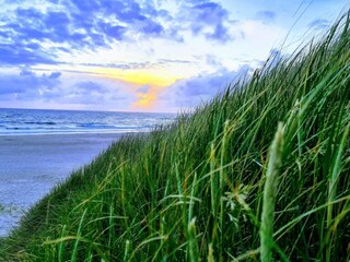 Casa per le vacanze Henne Strand  16