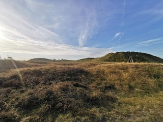 Apartment Havneby  5