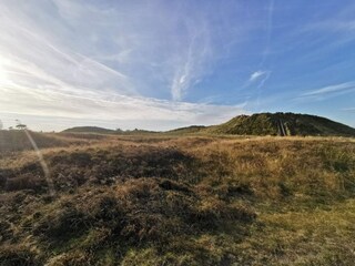 Apartment Havneby  6