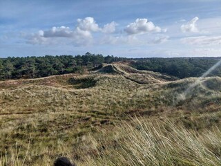 Appartement Havneby  31