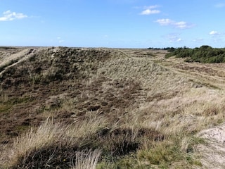 Apartment Havneby  22