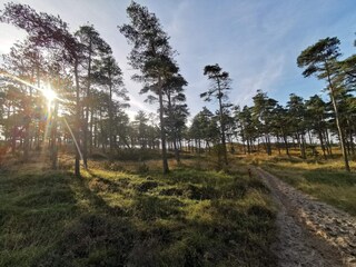 Appartamento Havneby  14