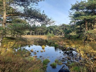 Appartamento Havneby  22