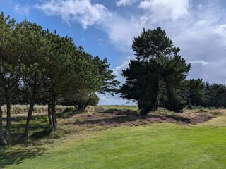 Vakantiehuis Blåvand  12