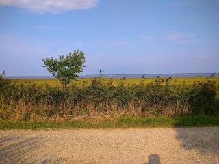 Vakantiehuis Blåvand  21