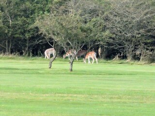 Ferienhaus Blåvand  20