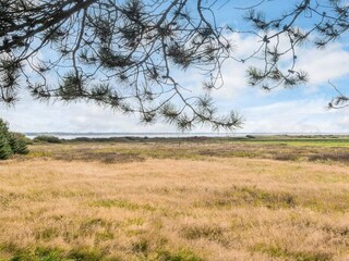 Vakantiehuis Blåvand  23