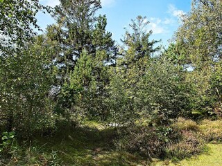 Vakantiehuis Læsø  8
