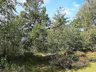 Vakantiehuis Læsø  9