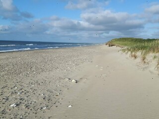 Vakantiehuis Hanstholm  39