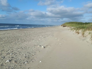 Holiday house Hanstholm  15